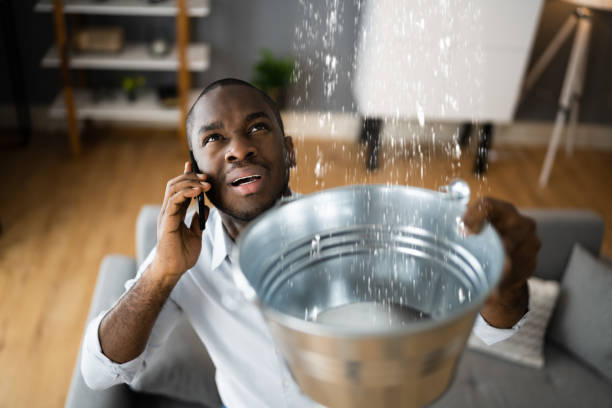 Best Water damage contractors near me  in Tulia, TX