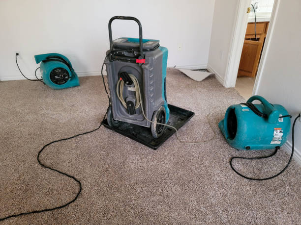 Best Emergency water damage restoration  in Tulia, TX