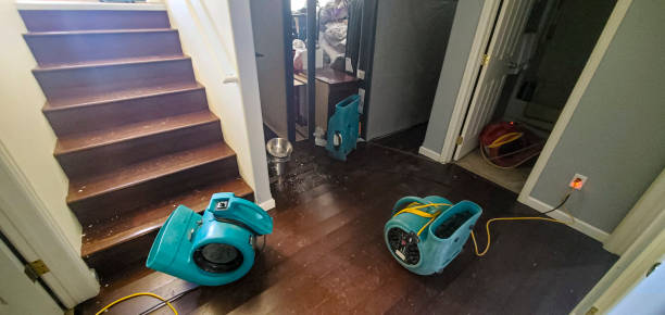 Best Carpet water damage restoration  in Tulia, TX