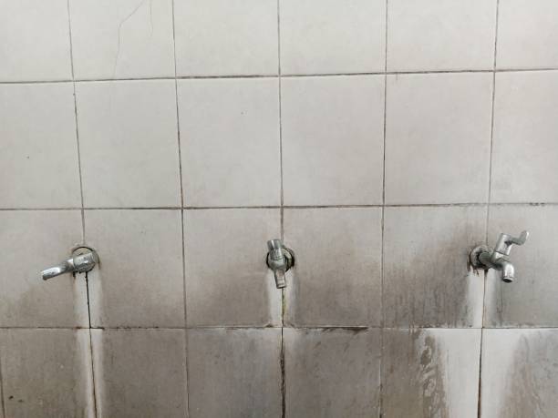 Best Flooded house restoration  in Tulia, TX