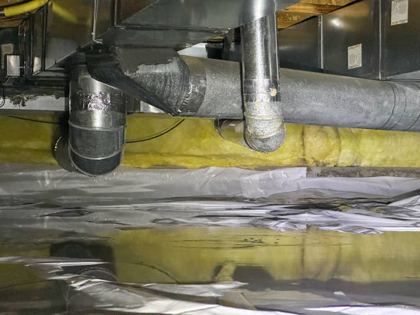Best Water damage restoration near me  in Tulia, TX
